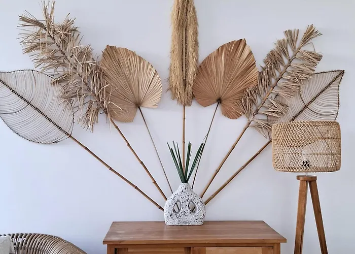 Anoli - 3 - Centre De